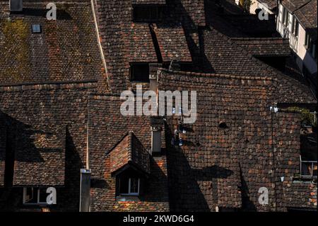 Weathering turns traditional clay shingle tiles from bright orange when new to ever-darker shades of brown: roofs of ancient houses in the Altstadt or old town at Schaffhausen, northern Switzerland. Stock Photo