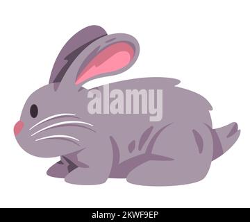 Rabbits bunnies or bunny cute adorable animal with furry hair in grey color Stock Vector