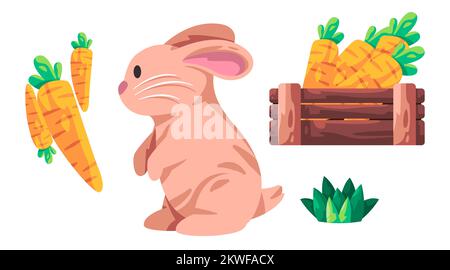 Rabbits bunnies or bunny cute adorable animal with furry hair in brown color with carrot food Stock Vector