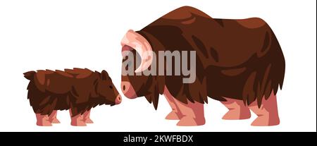 Muskox horned hairy bull drawing illustration cartoon with small young new born Stock Vector