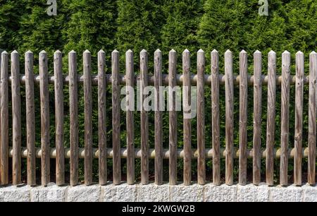 Garden fence made of wood in front of a thuja hedge Stock Photo