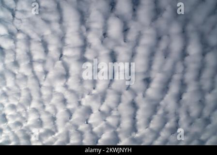 White mackerel clouds against blue sky in daylight Stock Photo