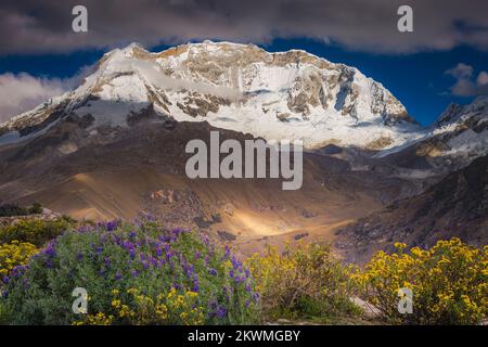 Huascaran Mountain massif in Cordillera Blanca, snowcapped Andes, Ancash, Peru Stock Photo