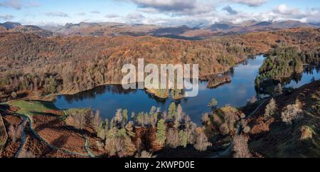 elevated panoramic view over tarn hows towards the langdale pikes lake district Stock Photo