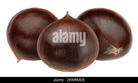 Chestnut isolated on white background Stock Photo