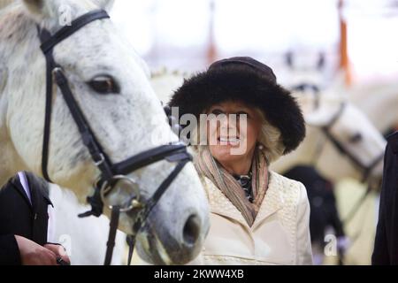 Their Royal Highness The Prince of Wales and Duchess of Cornwall in the two-day visit to Croatia. After they together visited Osijek, Duchess of Cornwall Camilla visited the National Stud Farms in Djakovo. She  watched the performance of Lipizzaners and traditionally decorated chariot. The host of the Duchess were Nidal Vessels director of the Paddock and Zoran Vinkovic mayor of Djakovo. Photo: Vlado Kos/Cropix/POOL/PIXSELL  Stock Photo