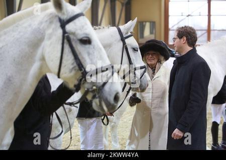 Their Royal Highness The Prince of Wales and Duchess of Cornwall in the two-day visit to Croatia. After they together visited Osijek, Duchess of Cornwall Camilla visited the National Stud Farms in Djakovo. She  watched the performance of Lipizzaners and traditionally decorated chariot. The host of the Duchess were Nidal Vessels director of the Paddock and Zoran Vinkovic mayor of Djakovo. Photo: Vlado Kos/Cropix/POOL/PIXSELL  Stock Photo