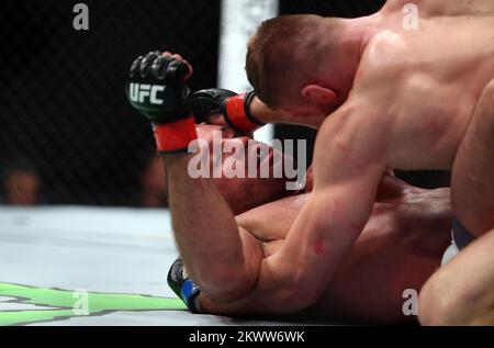 10.04.2016., Arena Zagreb, Zagreb, Croatia - UFC Fight Night 86, Igor Pokrajac vs. Jan Blachowicz.  Photo: Slavko Midzor/PIXSELL Stock Photo