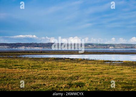 View across saltmarsh by Menai Strait to Beaumaris on the Isle of Anglesey from the seashore. Abergwyngregyn, Gwynedd, north Wales, UK, Britain Stock Photo