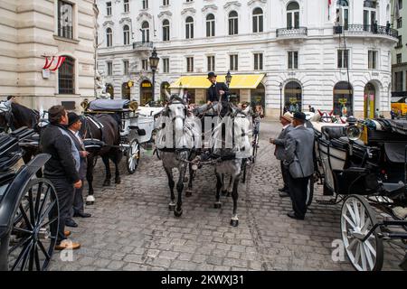 Vienna Fiaker, horse drawn carriage in front of Imperial Palace - Hofburg Vienna Austria.     Through Vienna in a horse-drawn carriage They are just a Stock Photo
