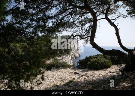 17.3.2017., Croatia, Dugi otok - Beauty of cliffs in the Nature Park Telascica on Dugi otok. Photo: Petar Glebov/PIXSELL Stock Photo