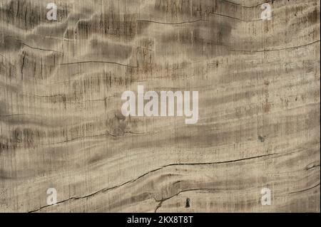 Wood texture seamless, Texture natural wooden, High resolution Stock Photo