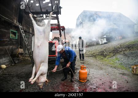 A man burns the skin of a slaughtered pig during a traditional pig slaughter in Glina, Croatia on December 08, 2019. Photo: Josip Regovic/PIXSELL Stock Photo