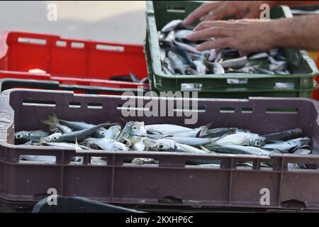 Fishermen unload their catch after a night fishing trip in the Adriataic sea, in Tribunj, Croatia, on September 19, 2020. Photo: Hrvoje Jelavic/PIXSELL Stock Photo