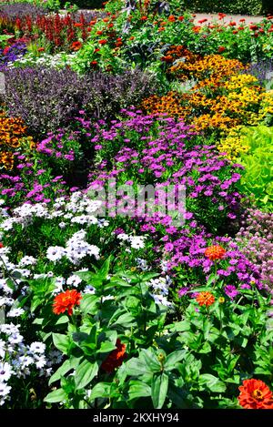 Beautiful and colorful annual flower garden, Grugapark Germany