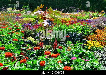 Beautiful and colorful annual flower garden, Grugapark Germany