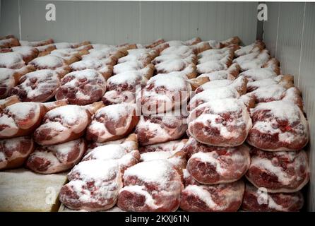 Ham legs are pictured stacked and solted during their preparetion for dry-curing in Bristani Donji village near Sibenik, Croatiaon October 15, 2020. Ham to be properly dry-cured is needed roughley 150 day. Photo: DUsko Jaramaz/PIXSELL Stock Photo