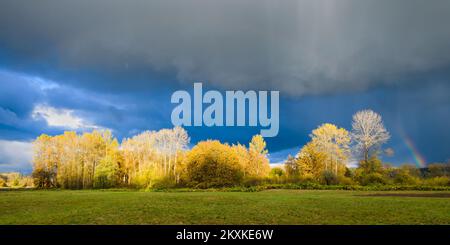 Light from a dark storm shines on fall trees with a partial rainbow in the landscape Stock Photo