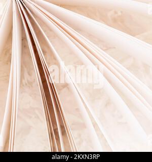 Close up of pages of book, light background Stock Photo