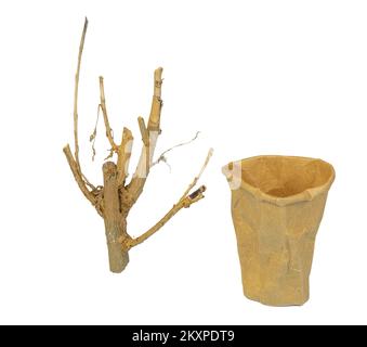 some cups of recycled paper on a transparent surface Stock Photo