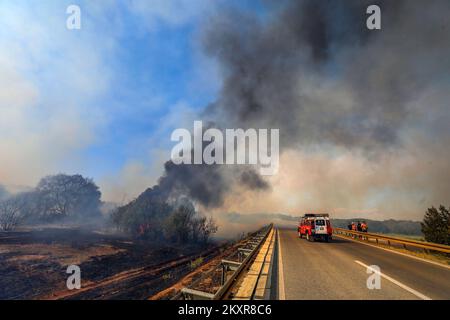 August 12, 2021, Pula - A fire broke out in the wider vicinity of Pula, more precisely between Sikici and Skatari, which was successfully extinguished with the help of firefighters from Pula, Medulin, Fazana, Galizana and other DVDs, and finally Canadians. Photo: Srecko Niketic/PIXSELL  Stock Photo