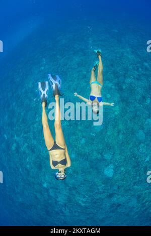 Two women (MR) free diving over a reef in Hawaii. Stock Photo