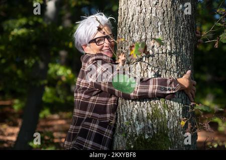 older happy nature mature gray haired woman with glasses, in fifties in sixties hugging a tree trunk in the forest, copy space Stock Photo