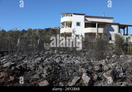 Burned trees and vegetation are seen after a fire broke out in village Raslina near Vodice, Croatia, on July 14, 2022. Three fires in Dalmatia broke out on Wednesday July 13, 2022 - two in Sibenik-Knin County and one in Zadar County. Many locals have been evacuated and over 300 firemen and 50 army personnel are putting out a wildfire with support of three Canadair firefighting planes and two air tractors. The situation is calmer today and the fire is not spreading out of control any more. The fire has caught grass, underbrush, forests, olive groves and vineyards across an estimated 3,000 hecta Stock Photo