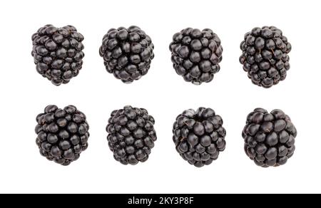blackberry path isolated on white Stock Photo