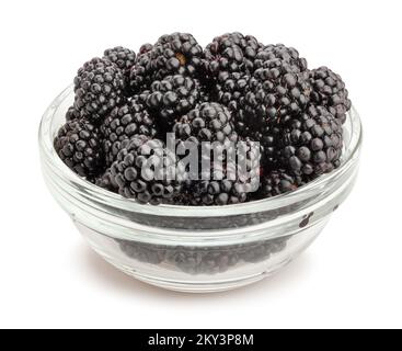 blackberry path isolated on white Stock Photo