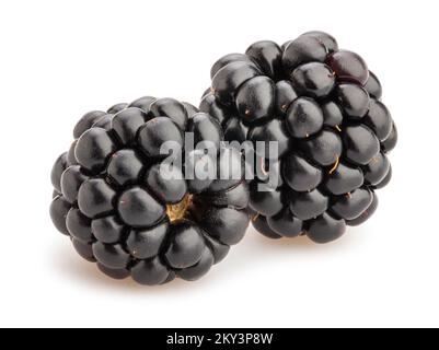 blackberry path isolated on white Stock Photo