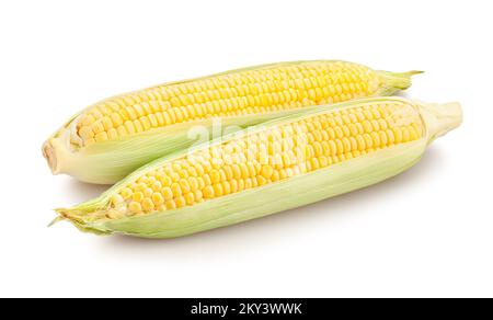 corn path isolated on white Stock Photo