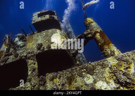 Scuba diver exploring the interior of a submerged wreck of Giannis D on September 30, 2022 in Hurghada, Red Sea, Egypt. In April 1983, Giannis D was loaded with lumber in Rijeka, Croatia, destined for Saudi Arabia and Yemen. The ship passed through the Mediterranean and through the Suez Canal. On 19 April 1983, it was approaching the Gobal Strait at full speed when it was seen to suddenly veer off course and crash heavily into the northwest corner of the Sha'ab Abu Nuhas ridge. The crew abandoned the ship and were safely rescued. The submerged wreck of Giannis D is located at a depth of 4 to 2 Stock Photo