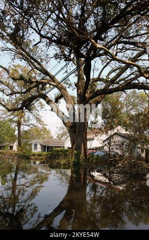 Hurricane Katrina, New Orleans, LA, September 3, 2005 -- Neighborhoods still remain flooded as a result of Hurricane Katrina. Jocelyn Augustino/FEMA Stock Photo