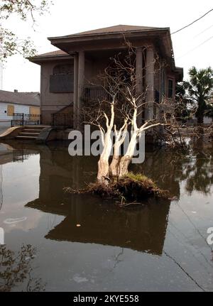 Hurricane Katrina, New Orleans, LA, September 3, 2005 -- Neighborhoods still remain flooded as a result of Hurricane Katrina. Jocelyn Augustino/FEMA Stock Photo