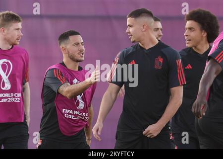 Belgium's Eden Hazard and Belgium's Leander Dendoncker pictured during a training session of the Belgian national soccer team the Red Devils, at the Hilton Salwa Beach Resort in Abu Samra, State of Qatar, Wednesday 30 November 2022. The Red Devils are preparing for the upcoming game at the FIFA 2022 World Cup in Qatar. BELGA PHOTO BRUNO FAHY Stock Photo