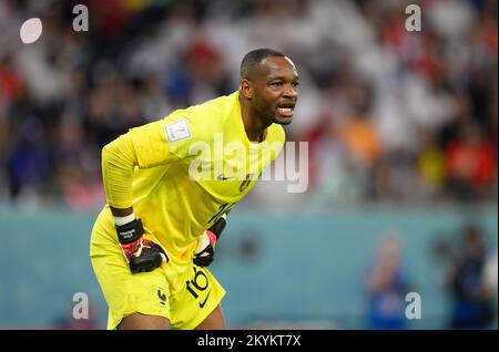 Al Rajjan, Qatar. 30th Nov, 2022. Fu all, World Cup, Tunisia - France, Preliminary Round, Group D, Matchday 3, at Education City Stadium in Al-Rajjan, France goalkeeper Steve Mandanda watches the match. Credit: Robert Michael/dpa/Alamy Live News Stock Photo