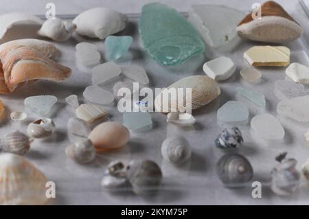 A collection of sea glass, shells and bits of pottery displayed on a glass tray Stock Photo