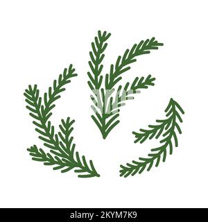 Wall Mural three pine tree green branches isolated illustration