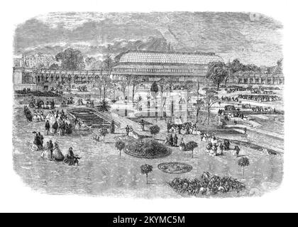 Royal Horticultural Society's Gardens, South Kensington, sketched in 1861. Near the south-east side of the Royal Albert Hall, was bounded by an elaborate, heavily architectured Italian garden, which fell away in terraces to a southern boundary about where the Science Museum now stands. This garden, of some twenty acres, was maintained by the Royal Horticultural Society from 1861 to around 1886 with a great conservatory,  spiral shrubs and statuary standing among stone-edged canals and box-embroideries of coloured gravel Stock Photo