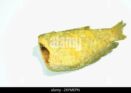 deep fried snake skin catfish or gourami on white background Stock Photo