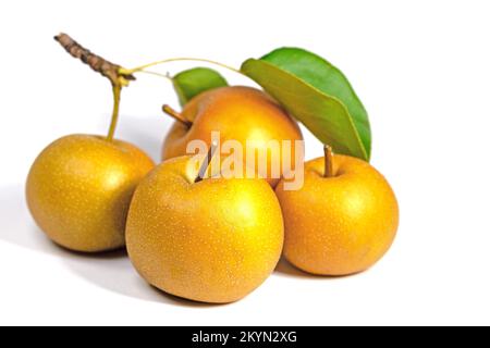 Nashi pears,Pyrus pyrifolia, isolated against white background Stock Photo