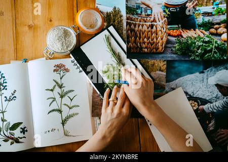 Hands of female food stylist arranging herbs on diary at table Stock Photo