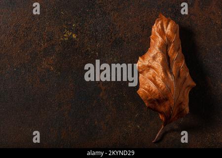 dark moody faded brown autumn leaf background, fall decay Stock Photo