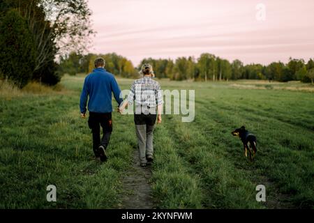 Mature couple holding hands and walking with dog on field during sunset Stock Photo