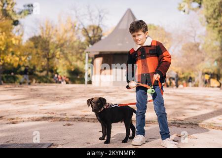 Cute boy in outerwear standing near chocolate Labrador Retriever puppy and looking at camera with smile on autumn weekend day in park Stock Photo