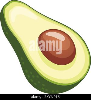 Half an avocado with a pit vector illustration Stock Vector