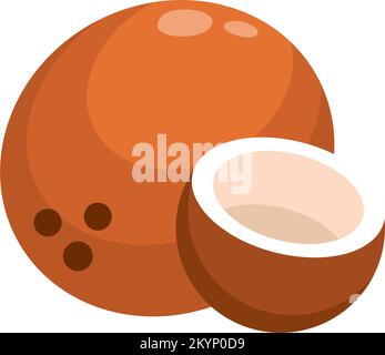 coconut fruit food Stock Vector