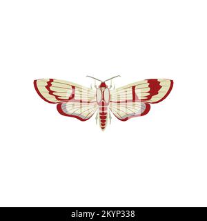 Beautiful monarch butterfly vector icon design on white background Stock Vector