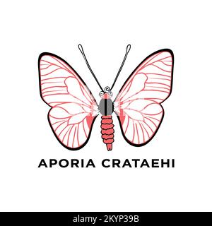 Minimal Aporia  butterfly vector icon on a background Stock Vector